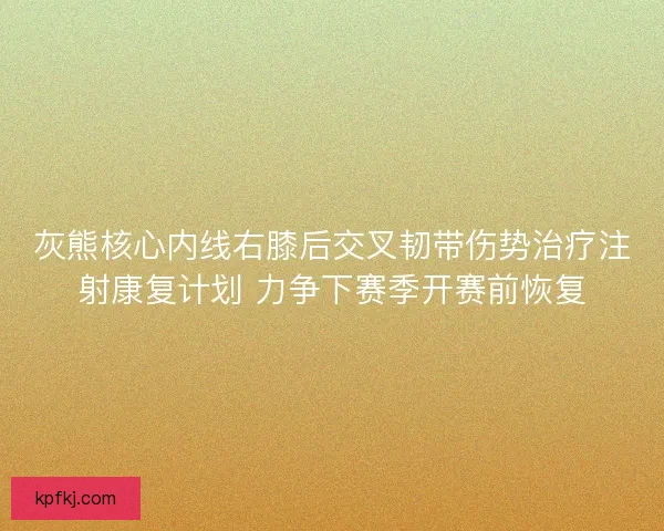 灰熊核心内线右膝后交叉韧带伤势治疗注射康复计划 力争下赛季开赛前恢复